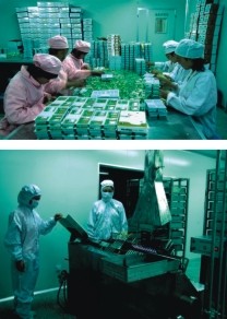 华伦风采